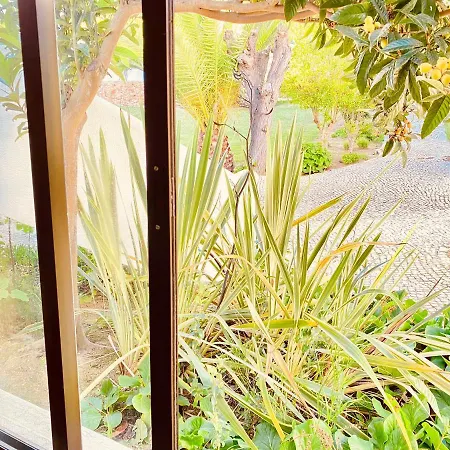 公寓 Sao Rafael Sun 阿尔布费拉