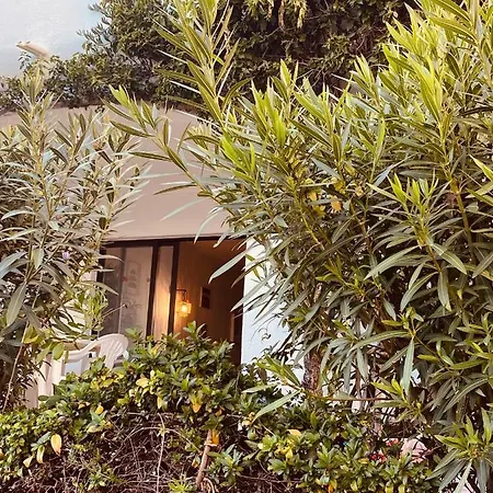 公寓 Sao Rafael Sun *